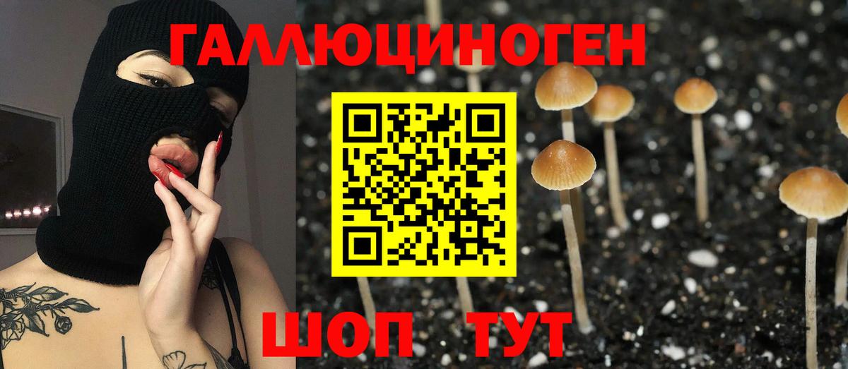 Псилоцибиновые грибы MAGIC MUSHROOMS  Псилоцибиновые грибы Psilocybine cubensis  Хасавюрт  Вход с VPN 